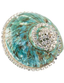 Neptune's Jewels Crystal Shell Collection Turbo Burgess Jade Banded - Nautical Luxuries