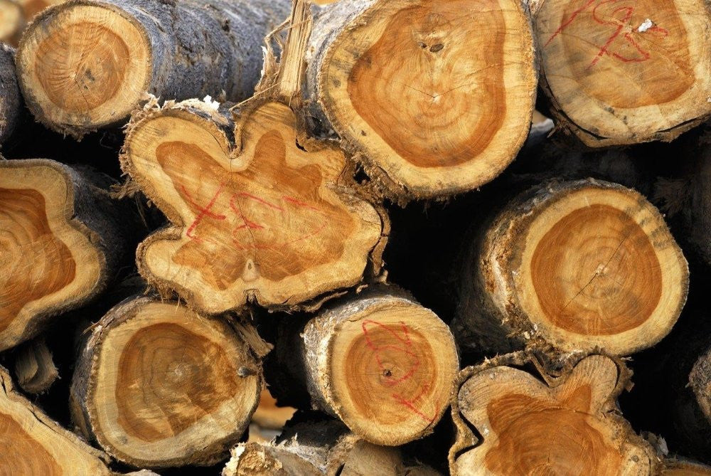 Why We Nautical Enthusiasts Treasure This Amazing Wood
