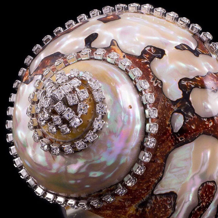 Swarovski Crystal Sarmaticus Shell Napkin Ring Set - Nautical Luxuries