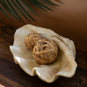 Giant Clamshell Centerpiece - Nautical Luxuries