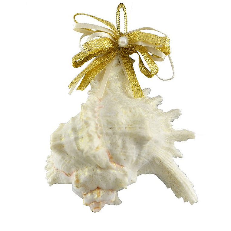 Natural Deep Sea Shells 12-Pc. Ornament Set - Nautical Luxuries