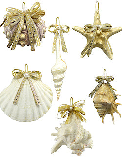 Natural Deep Sea Shells 12-Pc. Ornament Set - Nautical Luxuries