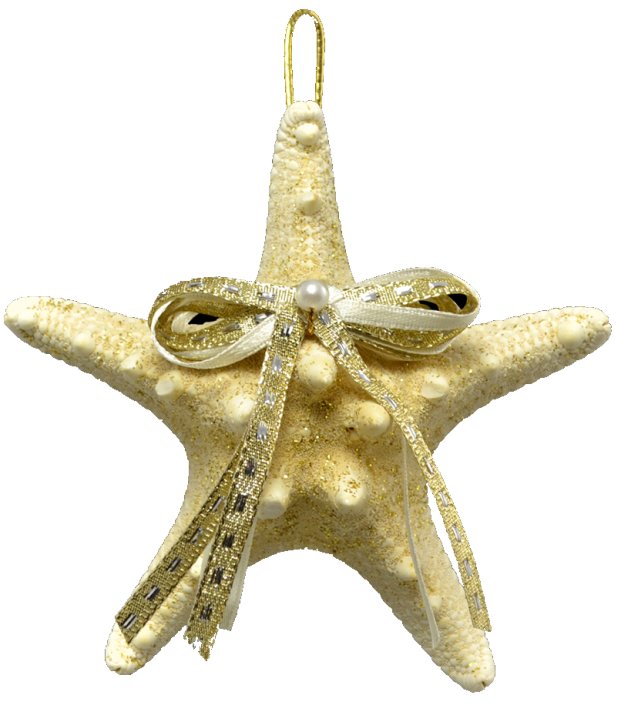 Natural Deep Sea Shells 12-Pc. Ornament Set - Nautical Luxuries