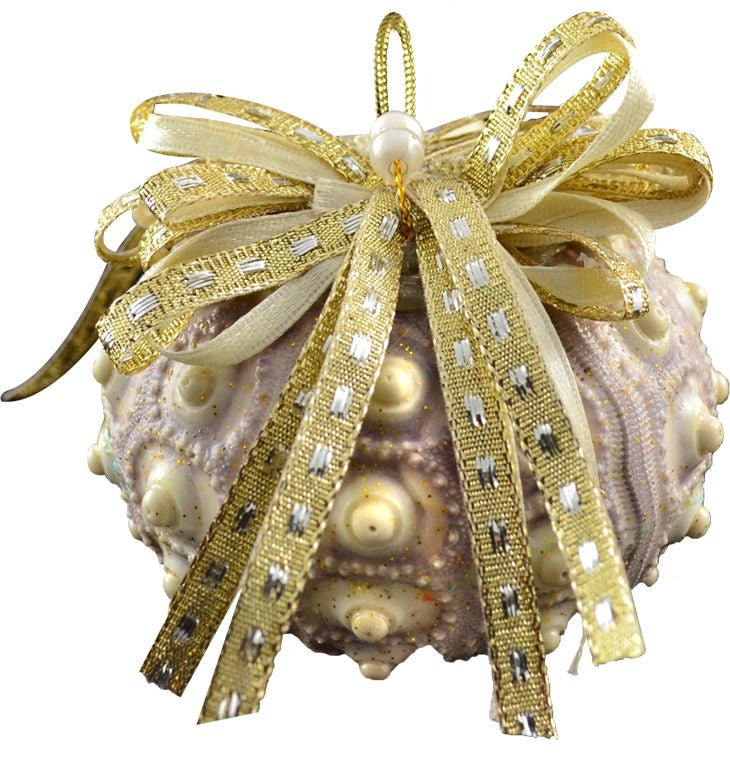 Natural Deep Sea Shells 12-Pc. Ornament Set - Nautical Luxuries