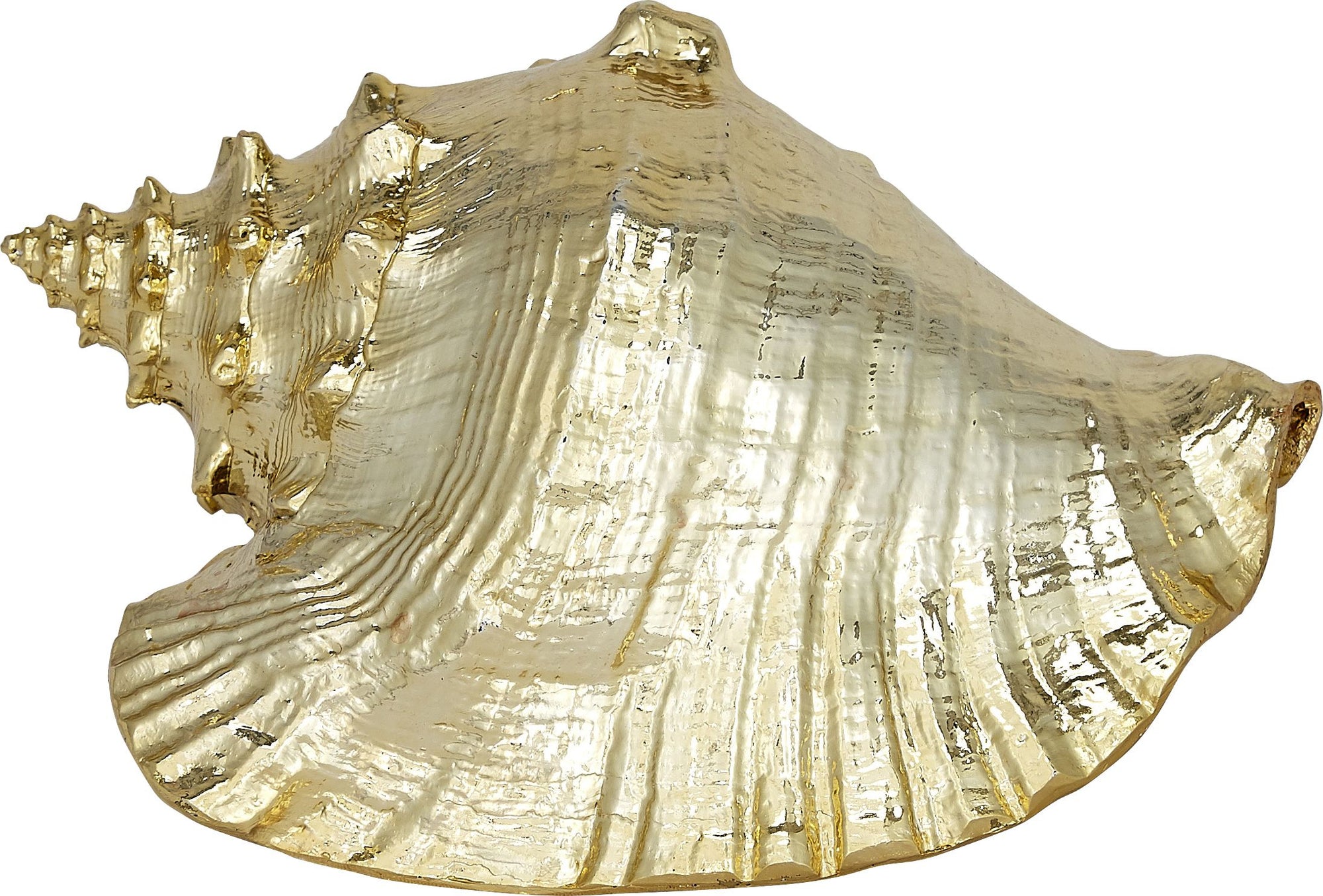 Gilded Glam Large Seashell Sets - Gold - Nautical Luxuries