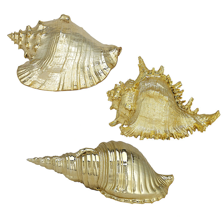 Gilded Glam Large Seashell Sets - Gold - Nautical Luxuries