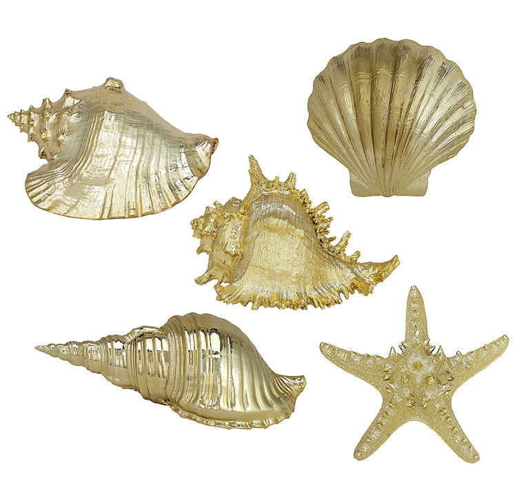 Gilded Glam Large Seashell Sets - Gold - Nautical Luxuries