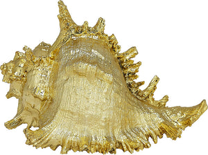 Gilded Glam Large Seashell Sets - Gold - Nautical Luxuries