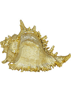 Gilded Glam Large Seashell Sets - Gold - Nautical Luxuries