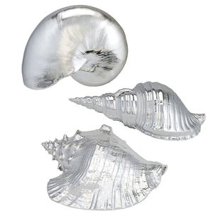Gilded Glam Large Seashell Sets - Silver - Nautical Luxuries