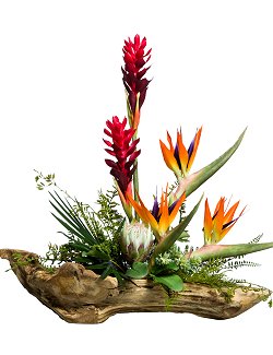 Tropical Driftwood Yacht Silks Centerpiece Arrangement - Nautical Luxuries