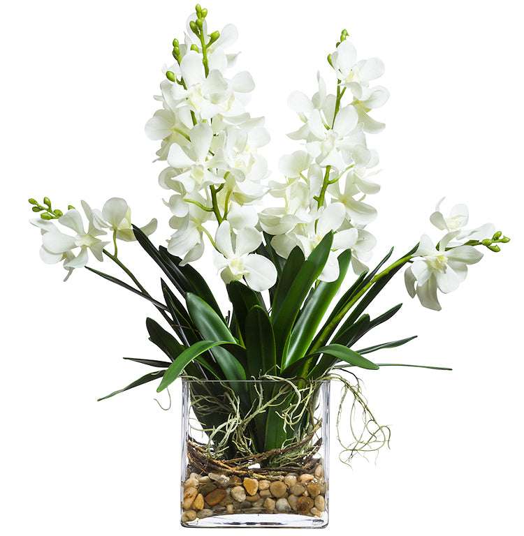 White Vanda Orchids Tropical Yacht Silks Arrangement - Nautical Luxuries
