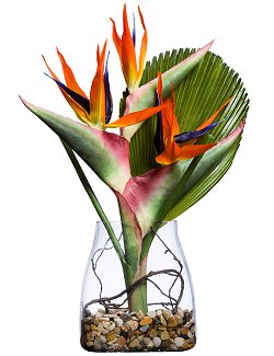 Exotic Bird of Paradise Palm Yacht Silks Arrangement - Nautical Luxuries