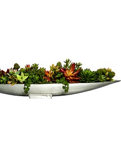 succulent tray centerpiece Succulents Onboard Long Yacht Silks Centerpiece Arrangement– Nautical  Luxuries