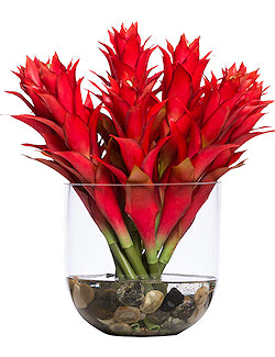 Red Bromeliad Blooms Yacht Silks Accent Arrangement - Nautical Luxuries