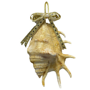 Natural Deep Sea Shells 12-Pc. Ornament Set - Nautical Luxuries