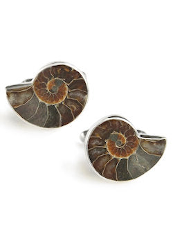 Nassau Nautilus Ammonite Cufflinks - Nautical Luxuries