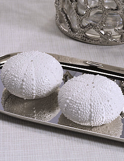 Bone China White Urchin Salt & Pepper Set– Nautical Luxuries