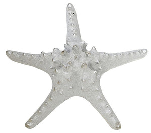 Gilded Glam Large Seashell Sets - Silver - Nautical Luxuries
