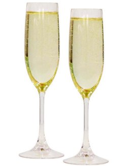 Non-Breakable Connoisseur Champagne Glasses - Nautical Luxuries