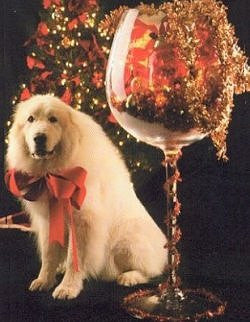 Floor wine deals