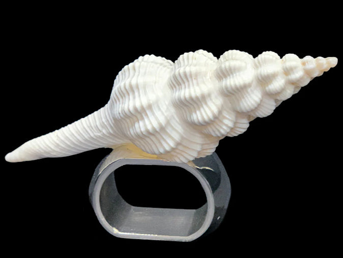 Delicate Natural Spindle Shell Napkin Ring Set | Nautical Luxuries