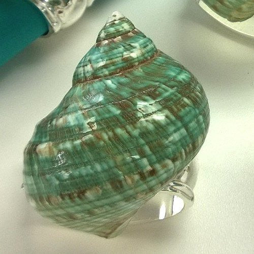 Jade Turbo Shell Napkin Ring Set - Nautical Luxuries