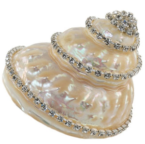Neptune's Jewels Crystal Shell Collection Astraea Undosa - Nautical Luxuries