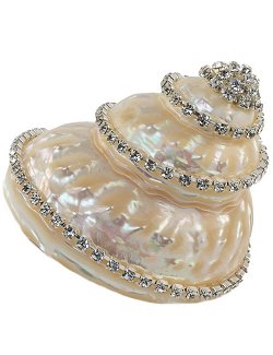 Neptune's Jewels Crystal Shell Collection Astraea Undosa - Nautical Luxuries