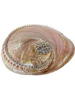 Neptune's Jewels Crystal Shell Collection Pearl Abalone - Nautical Luxuries