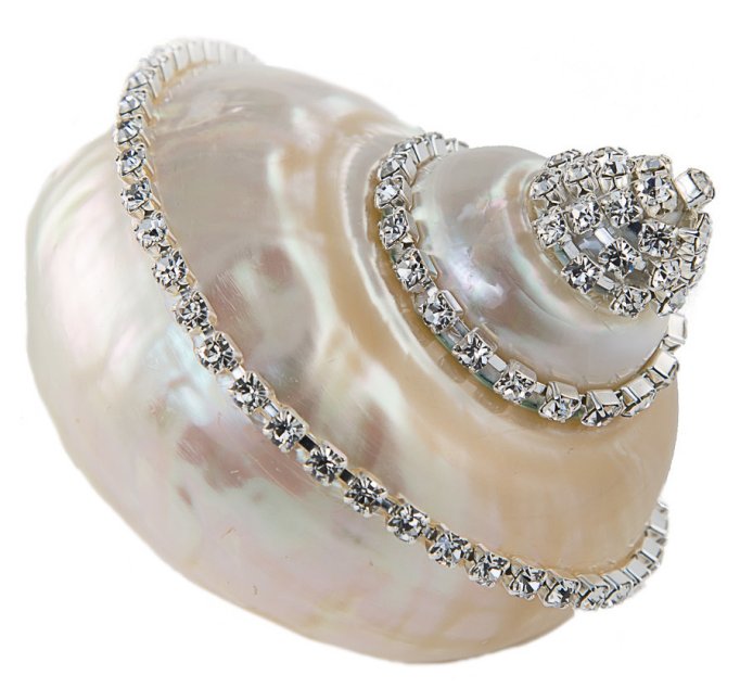Neptune's Jewels Crystal Shell Collection Turbo Burgess Pearl - Nautical Luxuries