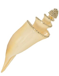 Neptune's Jewels Crystal Shell Collection Lambis Truncate Spiral - Nautical Luxuries