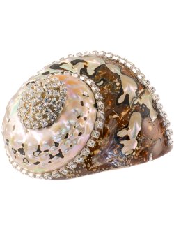 Neptune's Jewels Crystal Shell Collection Turbo Sarmaticus - Nautical Luxuries