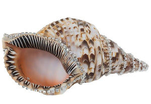 Neptune's Jewels Crystal Shell Collection Triton - Nautical Luxuries