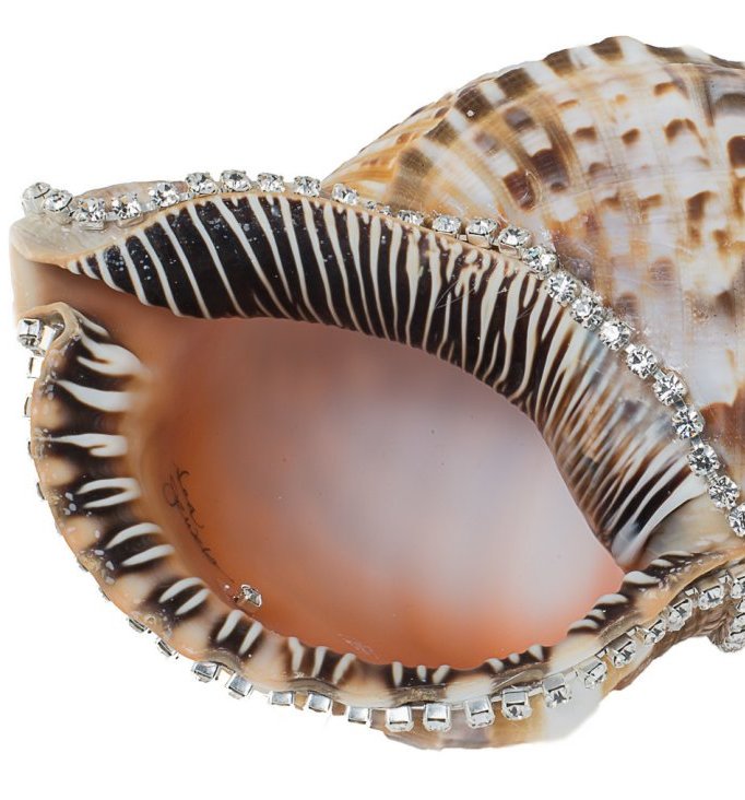 Neptune's Jewels Crystal Shell Collection Triton - Nautical Luxuries