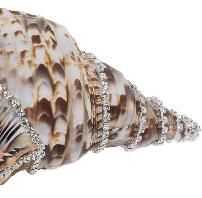 Neptune's Jewels Crystal Shell Collection Triton - Nautical Luxuries