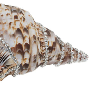 Neptune's Jewels Crystal Shell Collection Triton - Nautical Luxuries