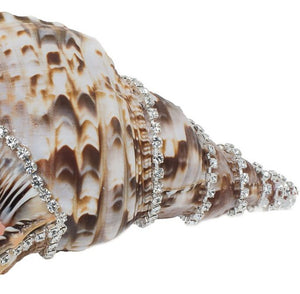 Neptune's Jewels Crystal Shell Collection Triton - Nautical Luxuries