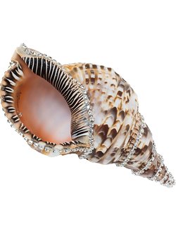 Neptune's Jewels Crystal Shell Collection Triton - Nautical Luxuries