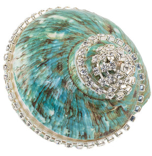 Neptune's Jewels Crystal Shell Collection Turbo Burgess Jade Banded - Nautical Luxuries