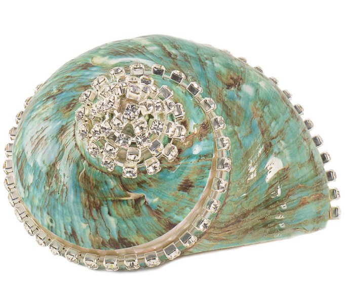 Neptune's Jewels Crystal Shell Collection Turbo Burgess Jade Banded - Nautical Luxuries