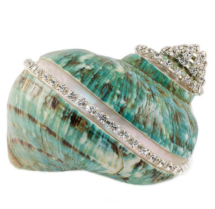 Neptune's Jewels Crystal Shell Collection Turbo Burgess Jade Banded - Nautical Luxuries