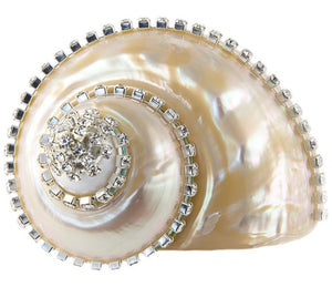 Neptune's Jewels Crystal Shell Collection Turbo Burgess Pearl - Nautical Luxuries