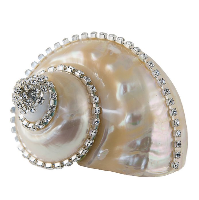 Neptune's Jewels Crystal Shell Collection Turbo Burgess Pearl - Nautical Luxuries