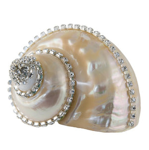 Neptune's Jewels Crystal Shell Collection Turbo Burgess Pearl - Nautical Luxuries