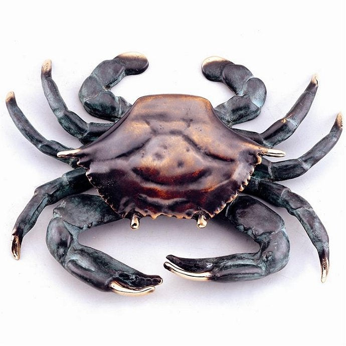 Brass Bluepoint Coastal Door Knocker - Nautical Luxuries