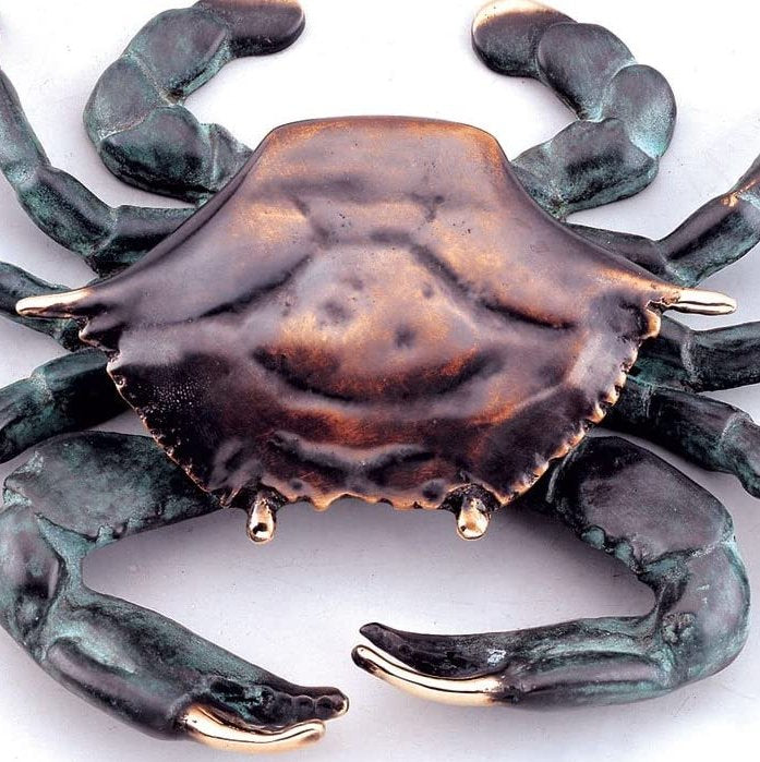 Brass Bluepoint Coastal Door Knocker - Nautical Luxuries