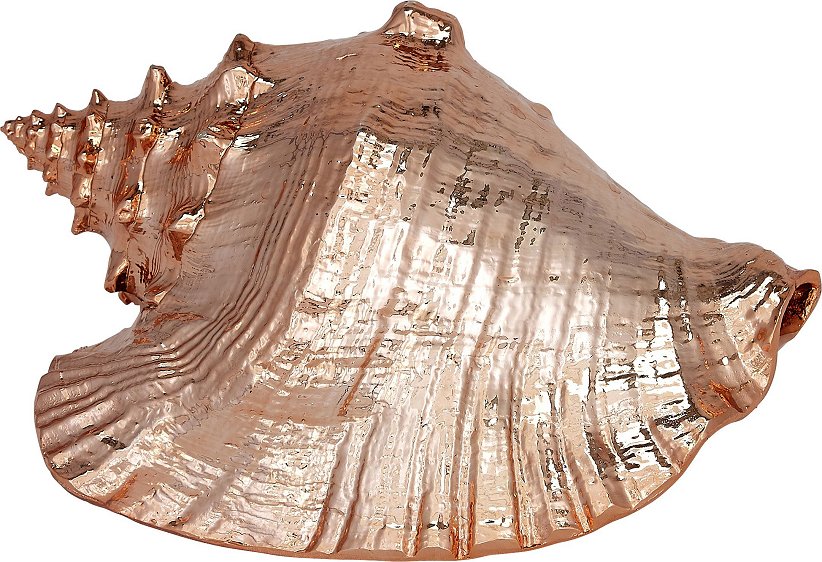 Gilded Glam Large Seashell Sets - Copper - Nautical Luxuries