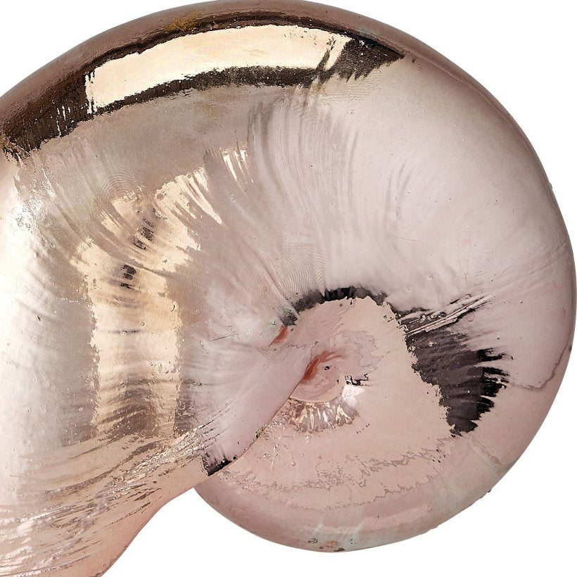 Gilded Glam Large Seashell Sets - Copper - Nautical Luxuries
