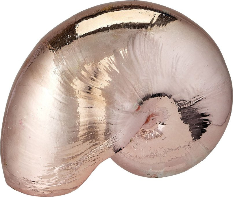 Gilded Glam Large Seashell Sets - Copper - Nautical Luxuries
